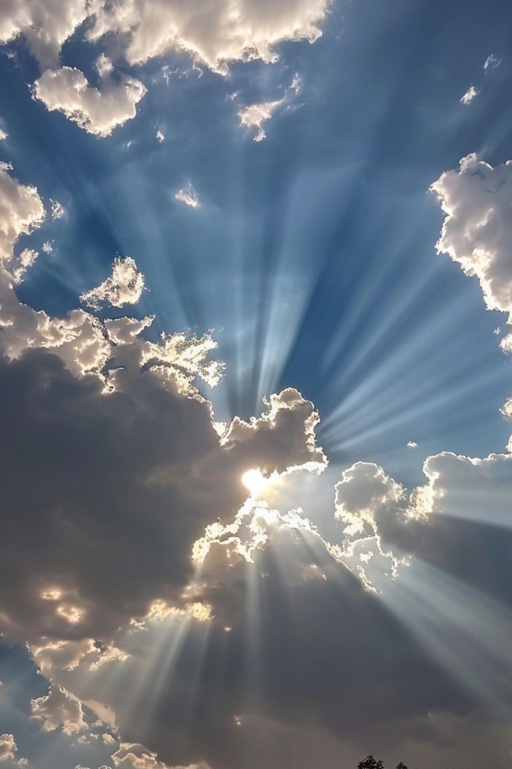 Medical Students for Choice Activities